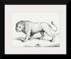 "Lion (1775-1883)", Jean Bernard