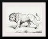 "Lion (1775-1883)", Jean Bernard