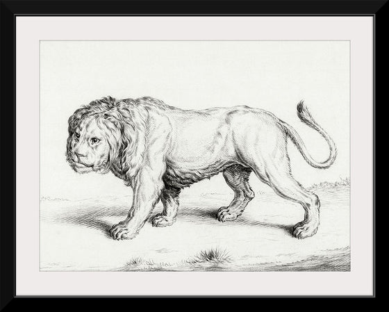 "Lion (1775-1883)", Jean Bernard