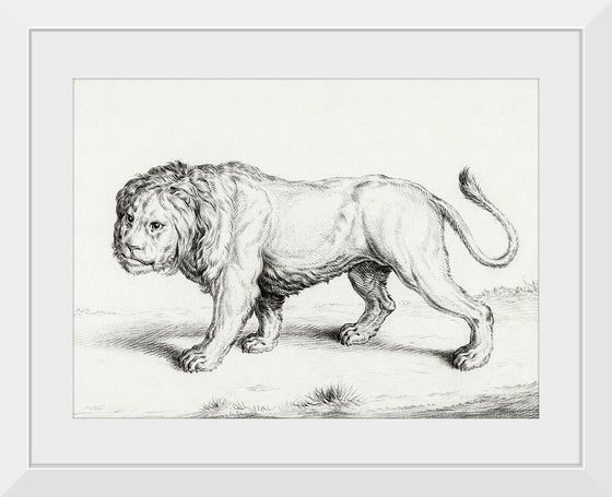 "Lion (1775-1883)", Jean Bernard