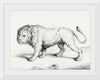 "Lion (1775-1883)", Jean Bernard