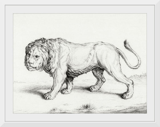 "Lion (1775-1883)", Jean Bernard