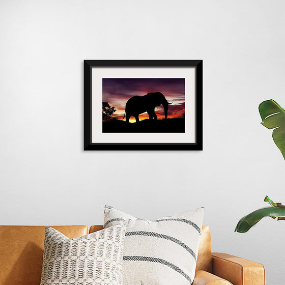 "African Elephant at Sunset"