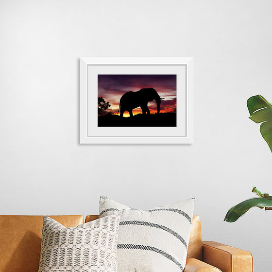 "African Elephant at Sunset"