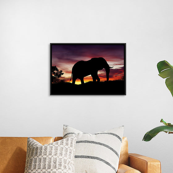 "African Elephant at Sunset"