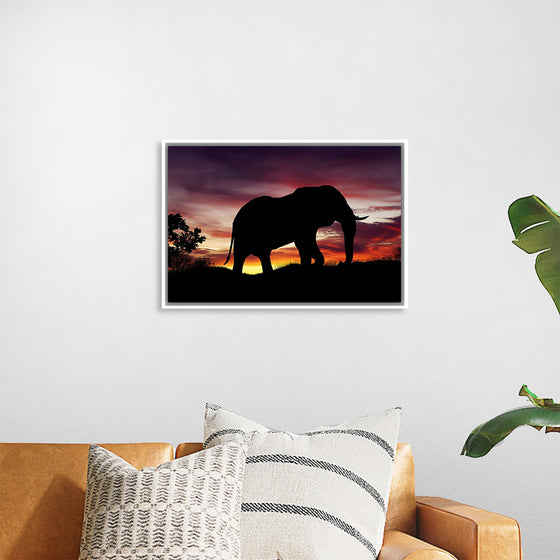 "African Elephant at Sunset"