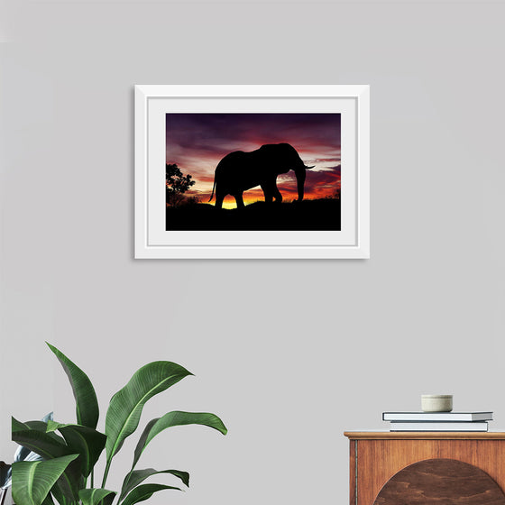 "African Elephant at Sunset"