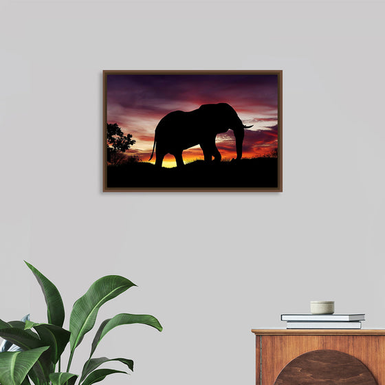 "African Elephant at Sunset"