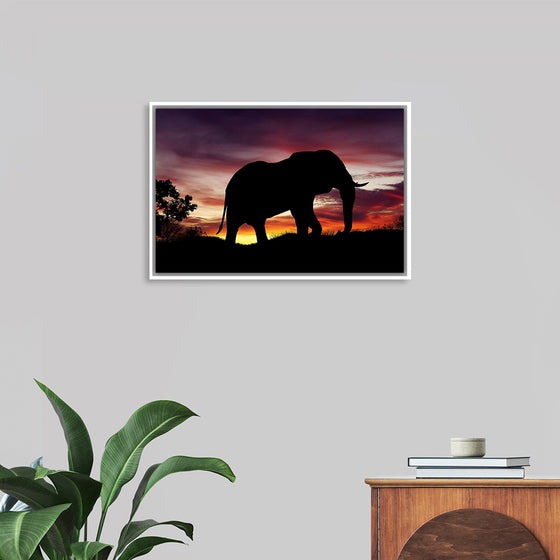 "African Elephant at Sunset"