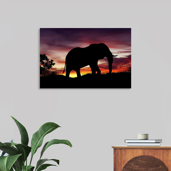 "African Elephant at Sunset"