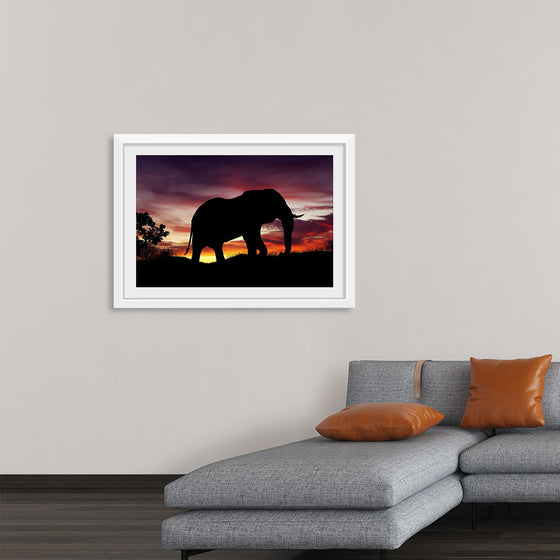 "African Elephant at Sunset"