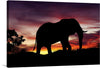 “African Elephant at Sunset” captures the essence of the wild with breathtaking simplicity. Against a fiery gradient of red, orange, and yellow, the majestic silhouette of an elephant emerges. Its contours, bold and unyielding, evoke the strength of Africa’s wilderness.