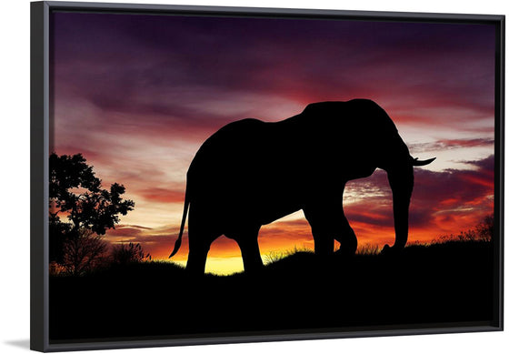 "African Elephant at Sunset"