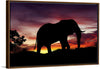 "African Elephant at Sunset"