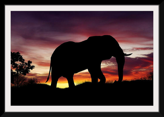 "African Elephant at Sunset"