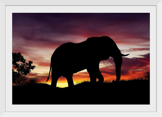 "African Elephant at Sunset"