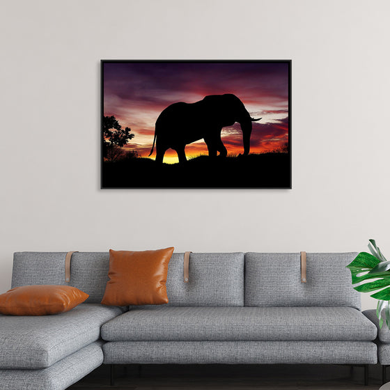 "African Elephant at Sunset"