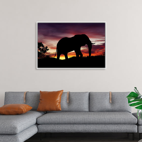 "African Elephant at Sunset"