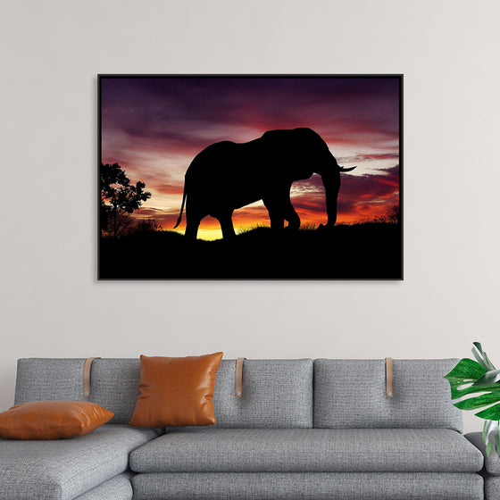 "African Elephant at Sunset"