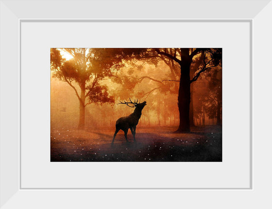 "Elk with Horns in Forest"