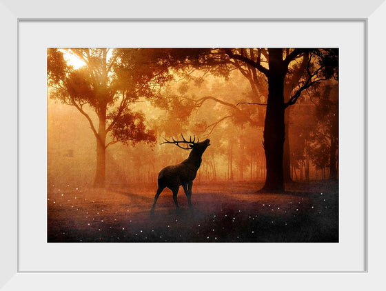 "Elk with Horns in Forest"