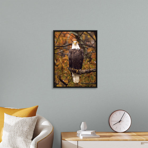 "Autumn Eagle"