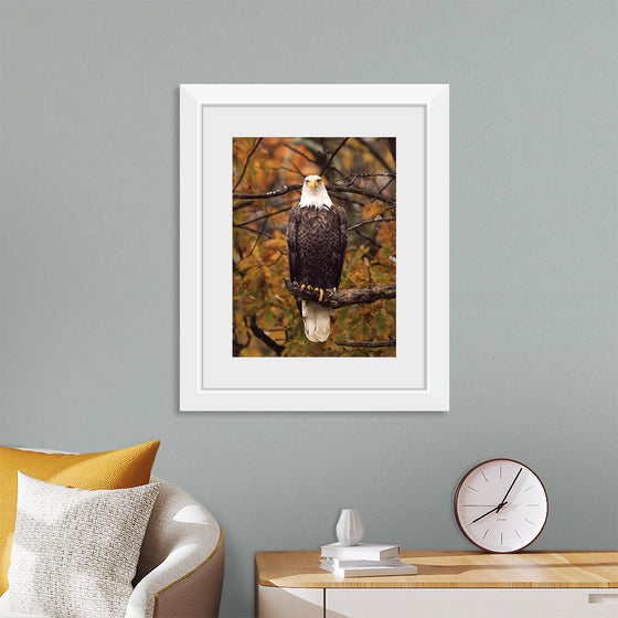 "Autumn Eagle"