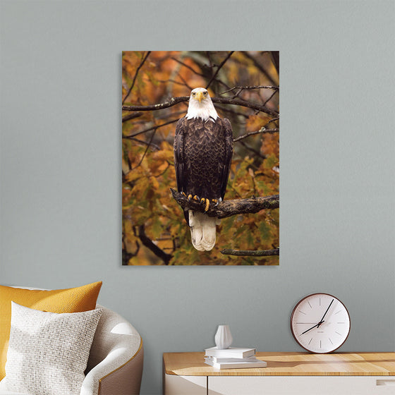 "Autumn Eagle"