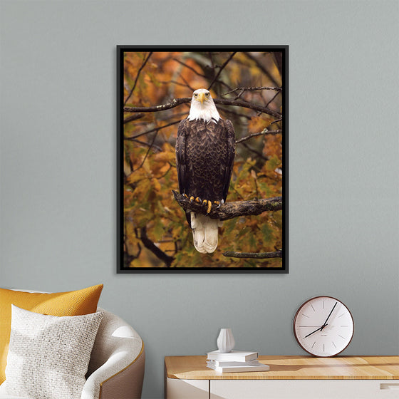 "Autumn Eagle"