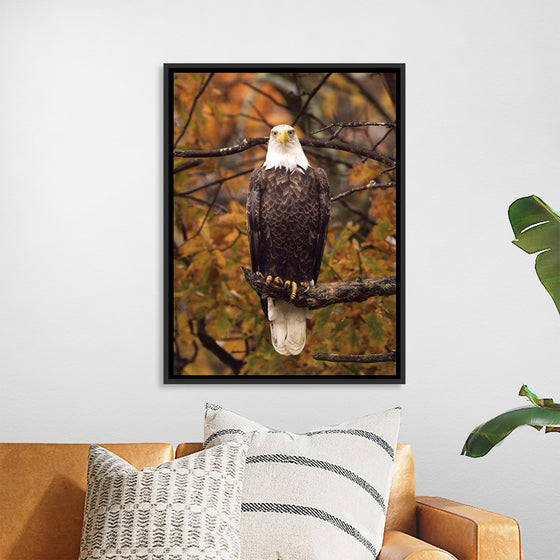 "Autumn Eagle"