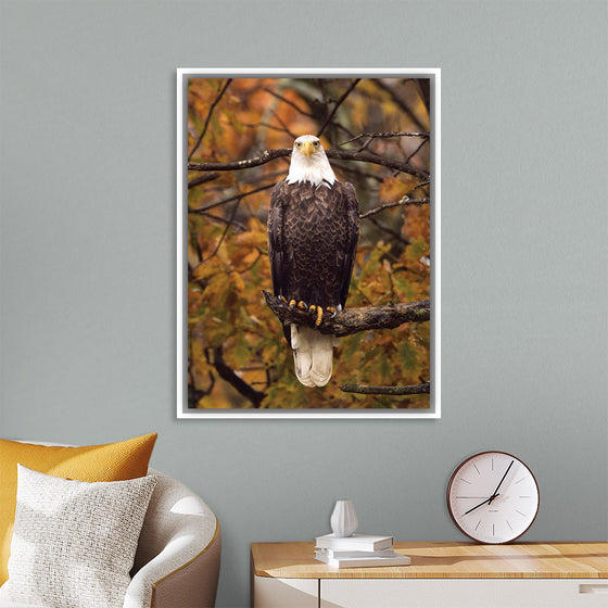 "Autumn Eagle"