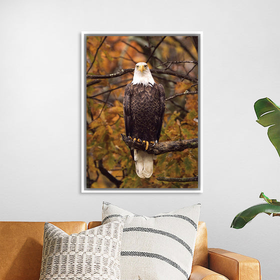 "Autumn Eagle"