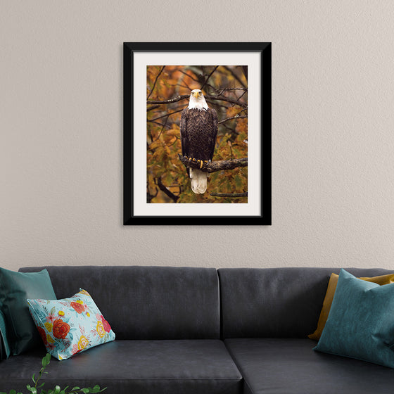 "Autumn Eagle"