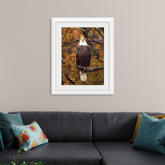 "Autumn Eagle"