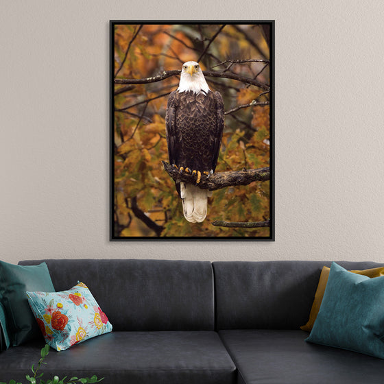 "Autumn Eagle"