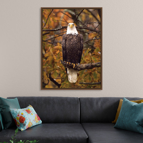 "Autumn Eagle"