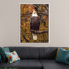 "Autumn Eagle"