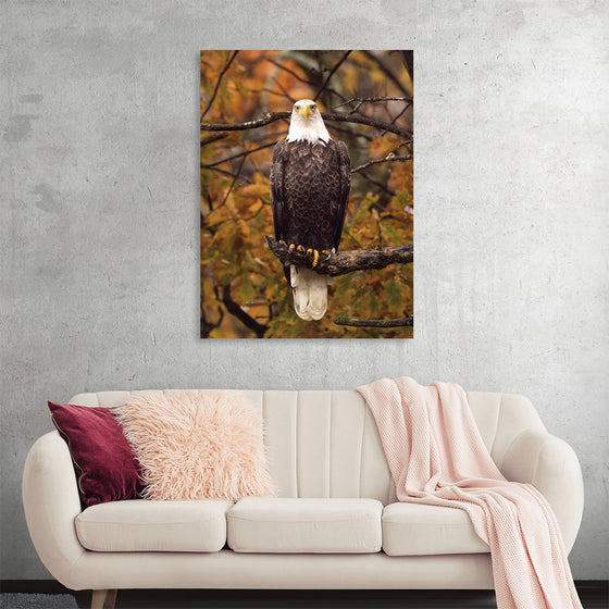 "Autumn Eagle"