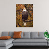 "Autumn Eagle"