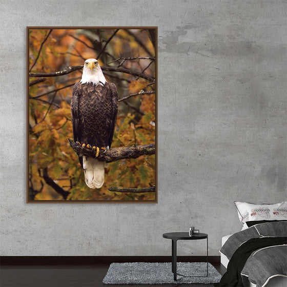 "Autumn Eagle"