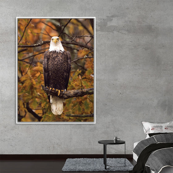 "Autumn Eagle"