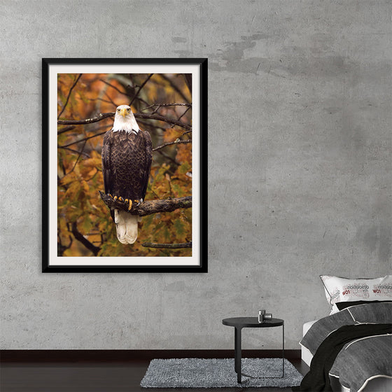 "Autumn Eagle"