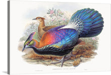  Immerse yourself in the exquisite detail and vibrant colors of “Lophophorus L’Huysi (1850–1883)” by the renowned John Gould and Henry Constantine Richter. This masterful artwork captures the majestic beauty of two birds, rendered with impeccable precision and artistic flair.