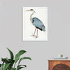 "Indian Gray Heron (1780-1782)", Ram Das