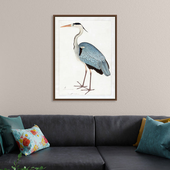 "Indian Gray Heron (1780-1782)", Ram Das