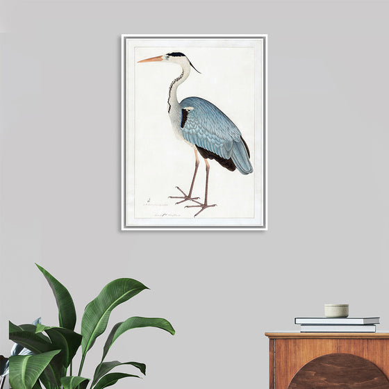 "Indian Gray Heron (1780-1782)", Ram Das