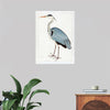 "Indian Gray Heron (1780-1782)", Ram Das