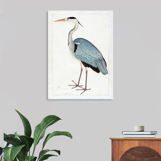 "Indian Gray Heron (1780-1782)", Ram Das