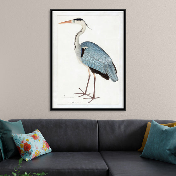 "Indian Gray Heron (1780-1782)", Ram Das