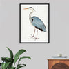 "Indian Gray Heron (1780-1782)", Ram Das